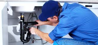 Best Sump Pump Installation and Repair  in Arlington, WA